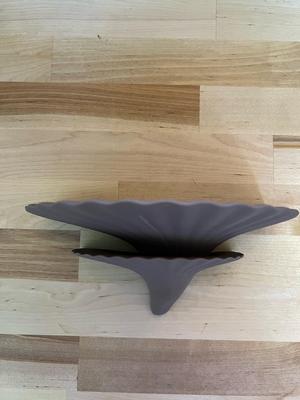 Double Mushroom Shelf