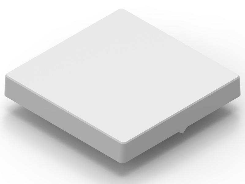 GIRA System 55 Standard Rocker