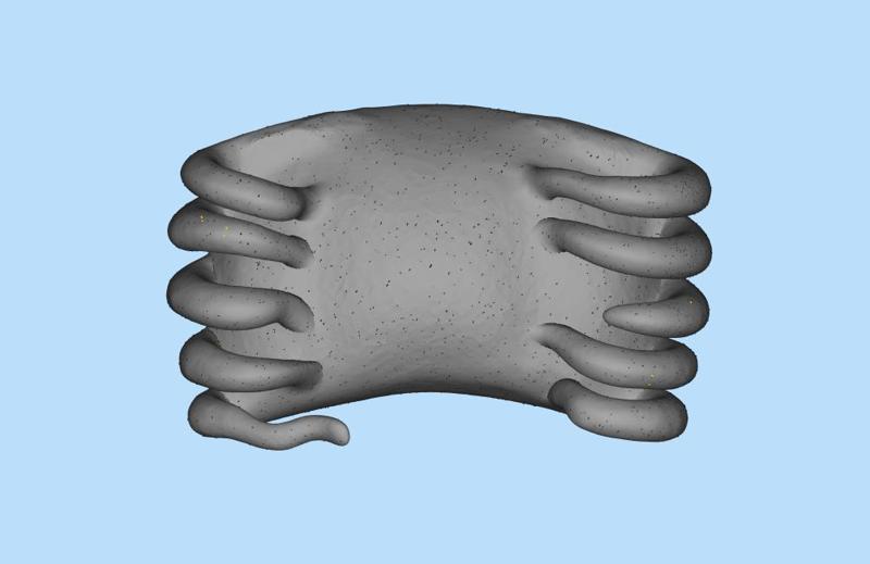 Undertow (TOOL)