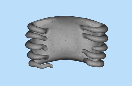 Undertow (TOOL)
