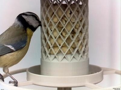 Bird Feeder