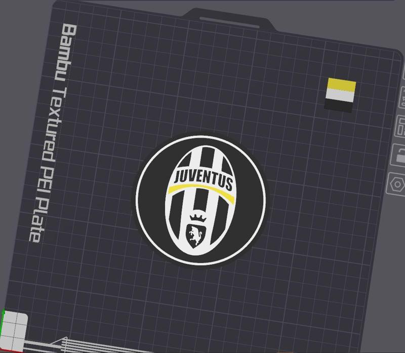 Juventus Turin Coaster