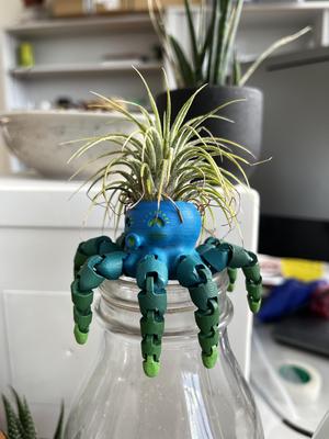 Octopus with Airplant hairstyle