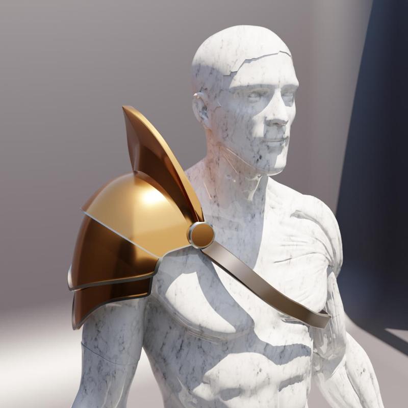 Shoulder Plate Armor
