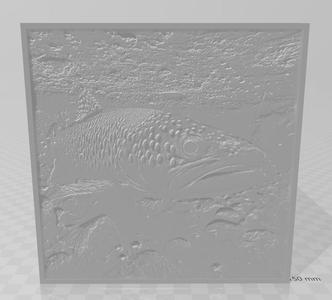 Salmon & Trout litho