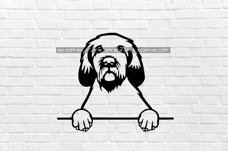Spinone dog wall decoration