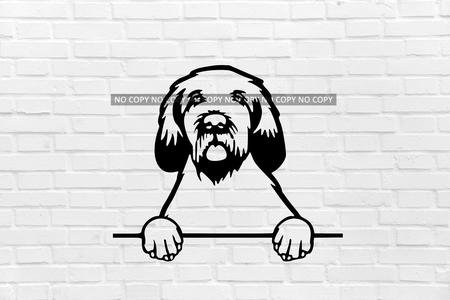 Spinone dog wall decoration