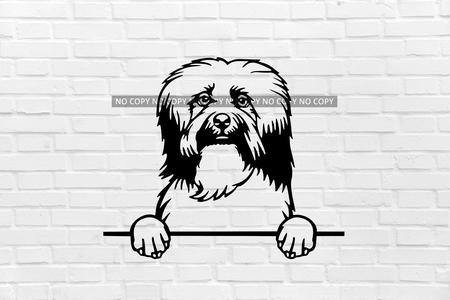 Havanese dog wall decoration