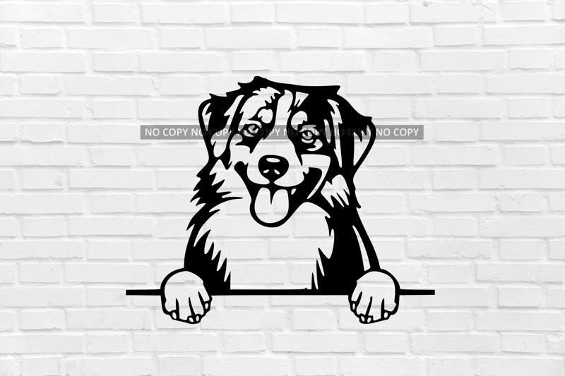 miniature American Shepherd dog wall decoration