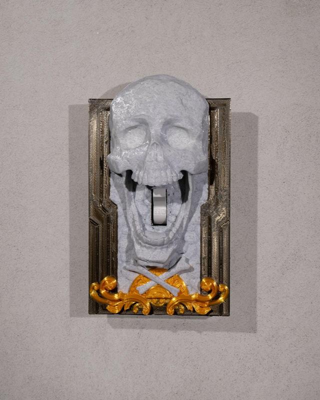 Last Wickie Light Switch Cover