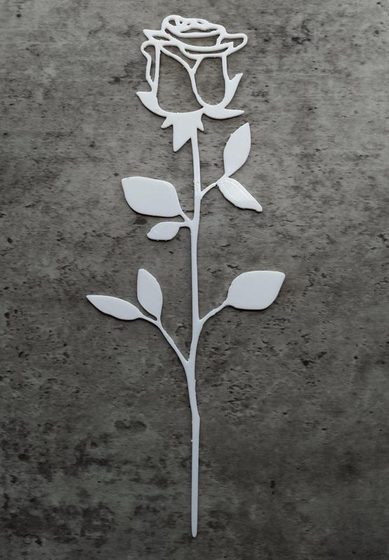 International Women's Day / Valentine's Day Rose - 13