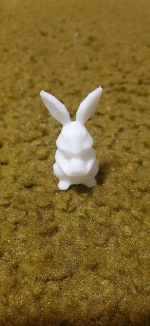 Little Bunny With Egg