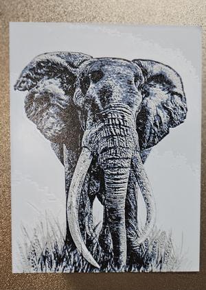 HueForge Elephant