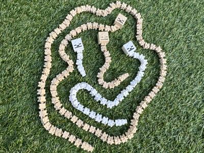 Articulated Minecraft Skeleton Spine and Skull