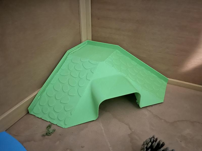 Reptile/Tortoise Ramp