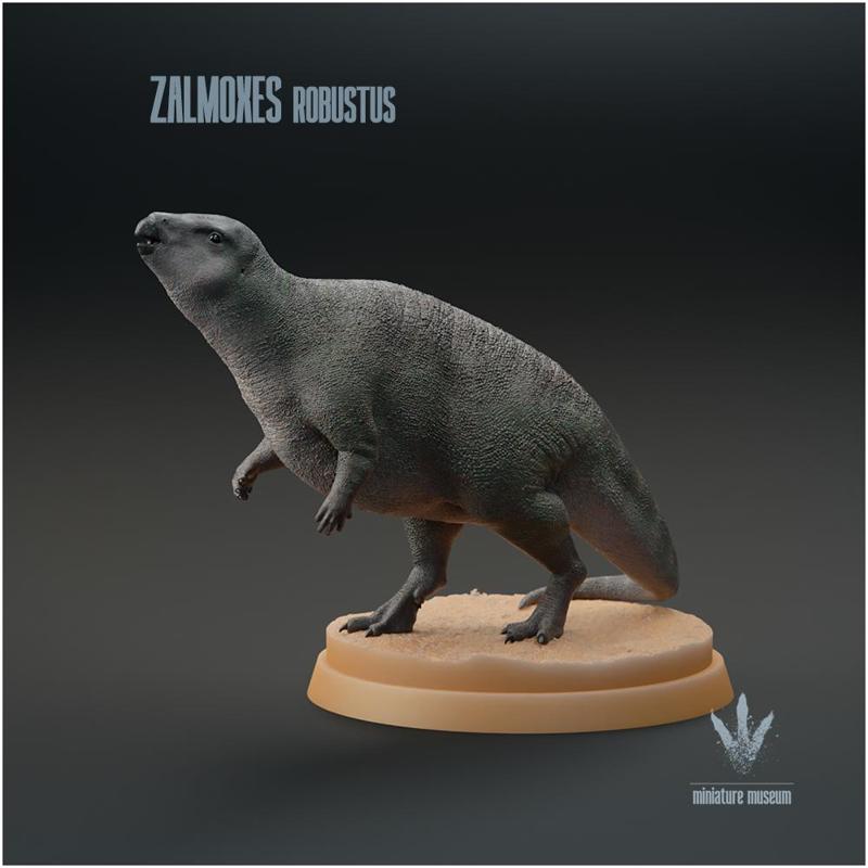 Zalmoxes robustus : The Little Ornithopod