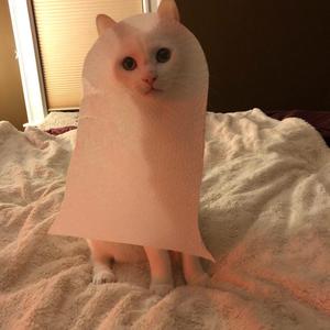 Ghost cat keychain