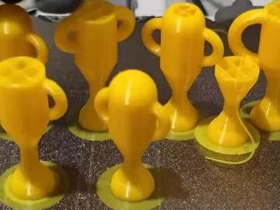 Mini Trophy