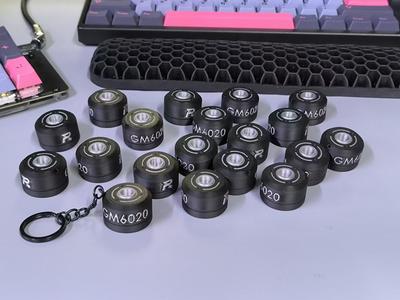 RoboMaster GM6020 Brushless DC Motor Keychain