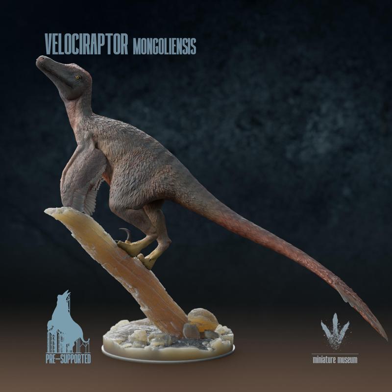 Velociraptor mongoliensis : Ready to Pounce