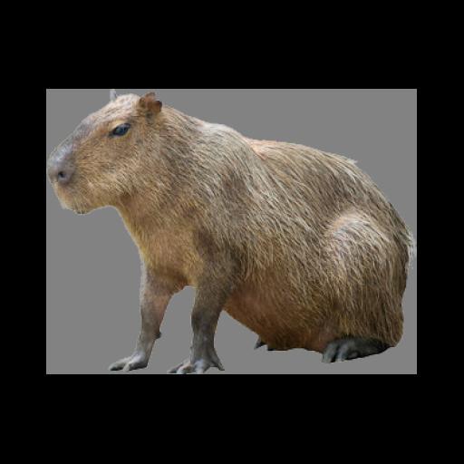 capybara