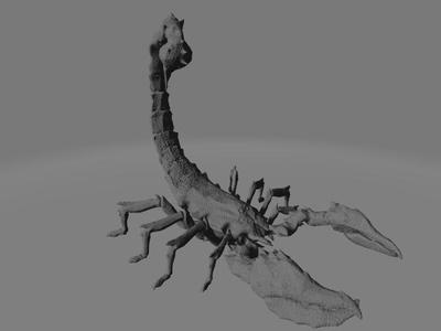 Scorpion
