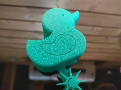 Bath time duck water toy