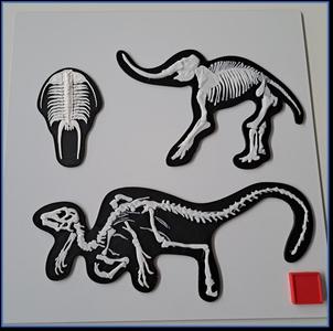 Geology Plate 3 - Print and Study Material