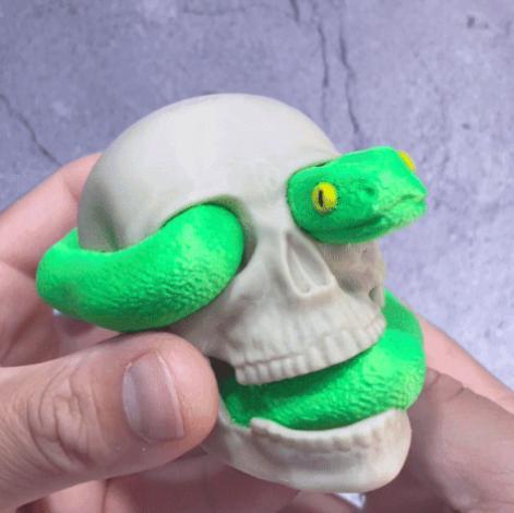 Skull with snake
