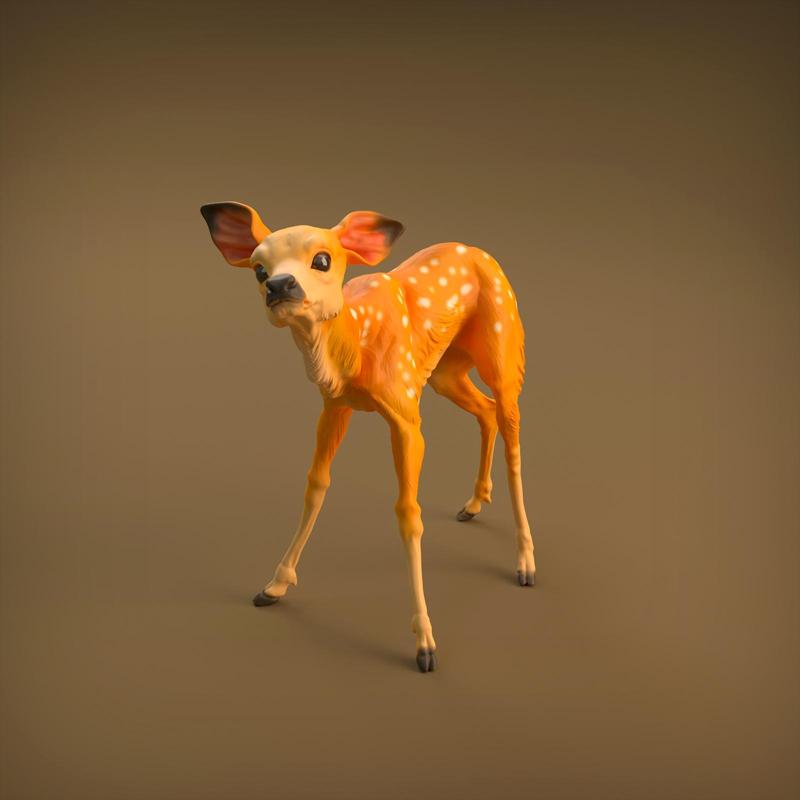 Fawn