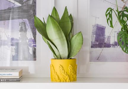 SPRING 2021 - FLOWER POWER POT