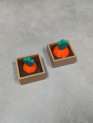 Carrot Garden Single Planter