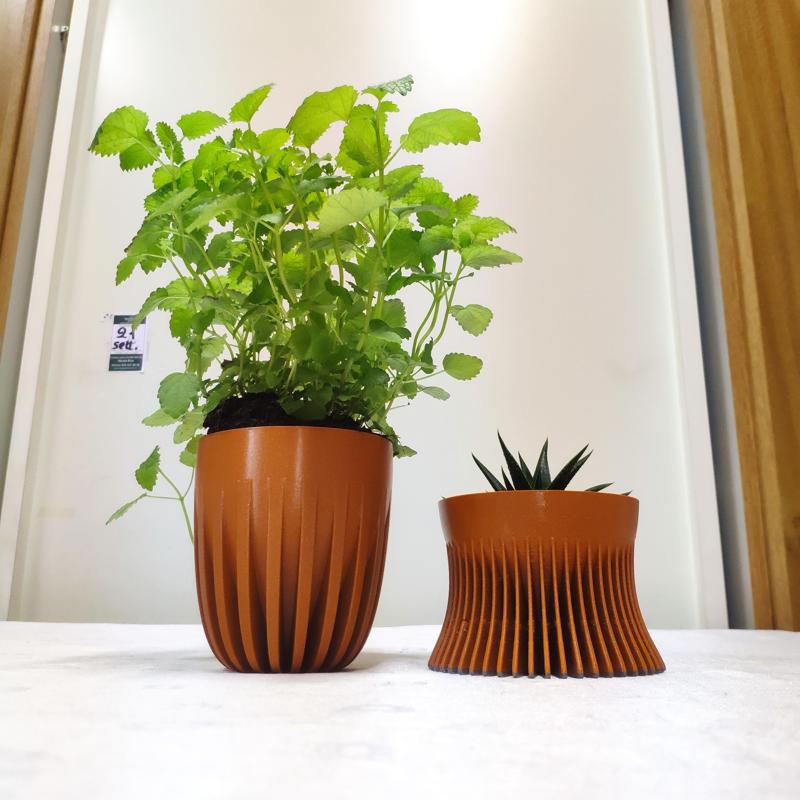 PARAMETRICAL PLANT POT