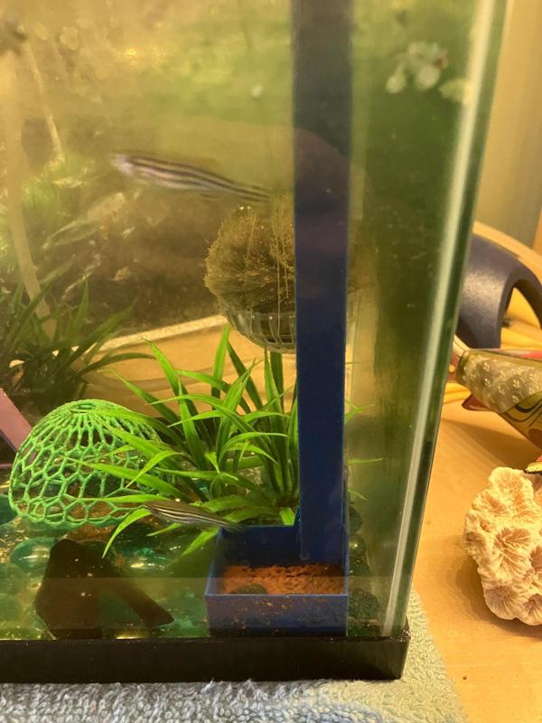 Shrimp Feeder Tray with Surface Opening