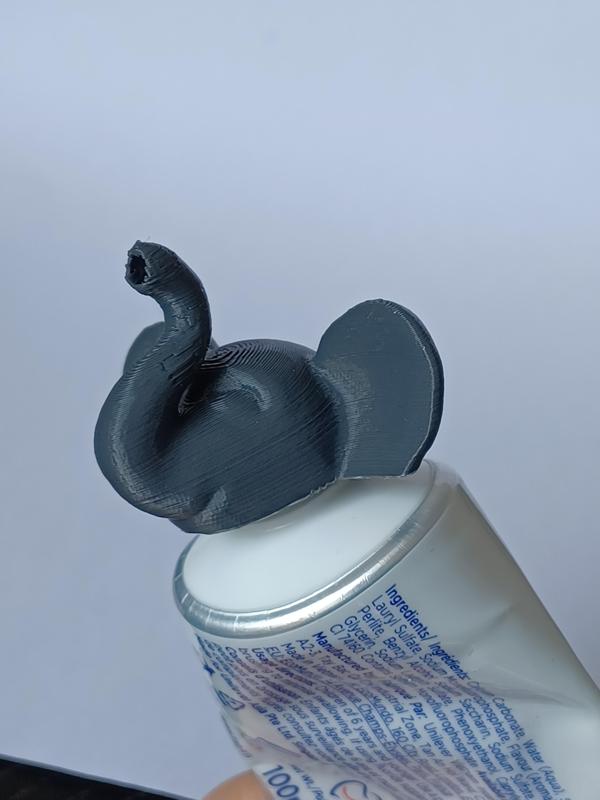ELEPHANT TOOTHPASTE