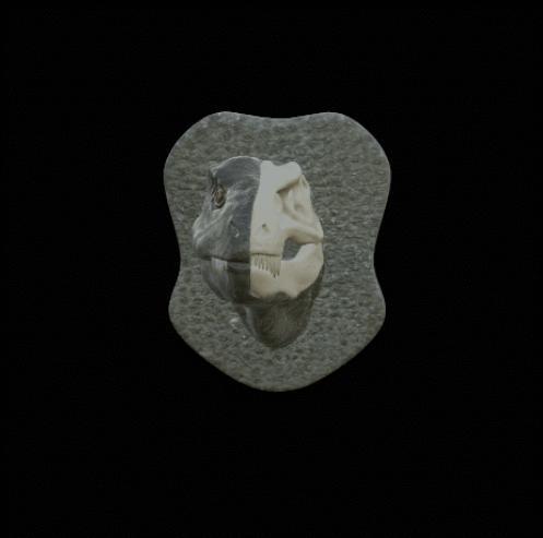 T - Rex head wallmount decoration