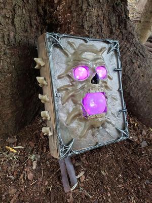 Necromancy of Thay Book (Baldur's Gate 3)