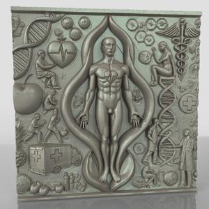 Human Health