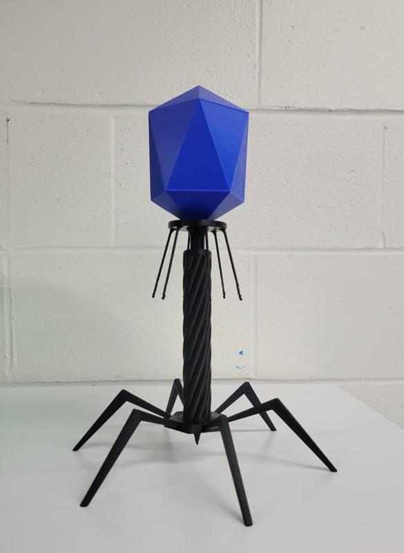 T4 Bacteriophage Model (no supports)