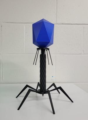 T4 Bacteriophage Model (no supports)