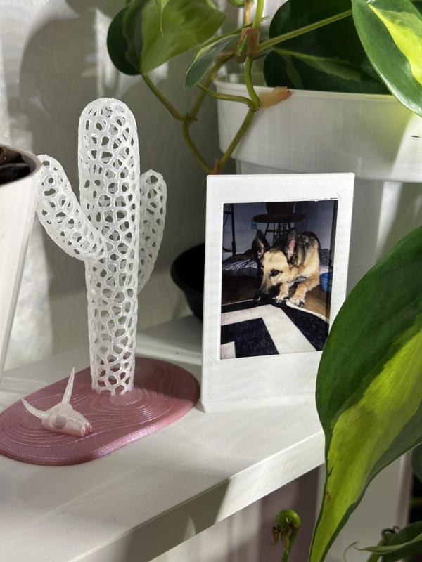 Ultra-minimalist InstaMax Frame