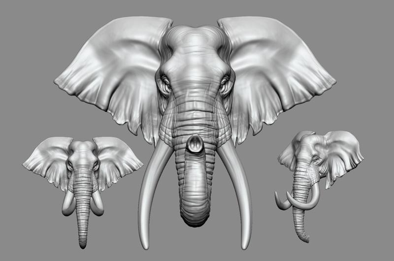 Elephant Head