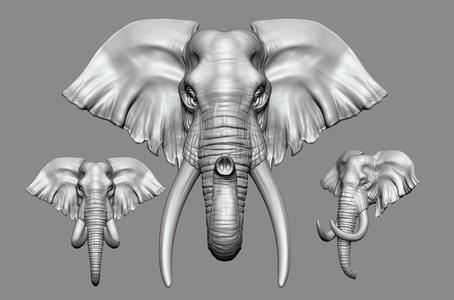 Elephant Head