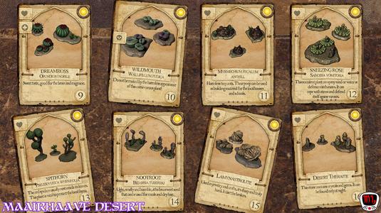 Desert props - Naturalia Compendium