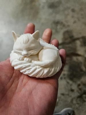 Sleeping Cat in a Swirl Cushioned Bed   