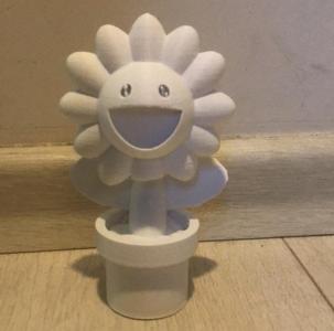 morikami takasy flower