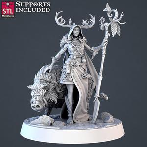 Forest Protector C