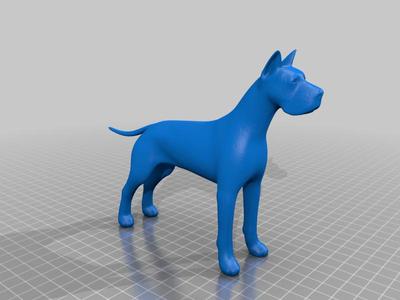 Great Dane unisex with large flat paws