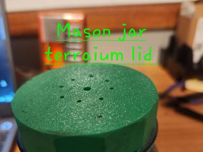Mason jar terrarium lid 
