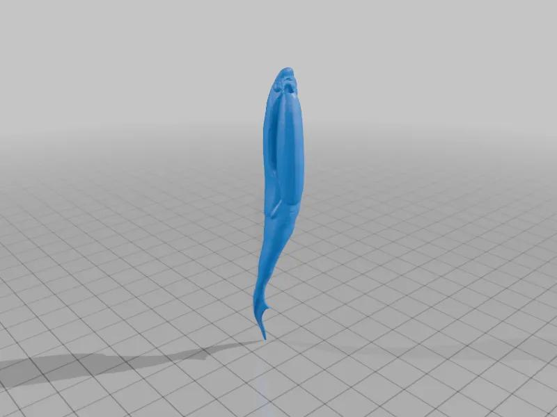 Americaspis americana   